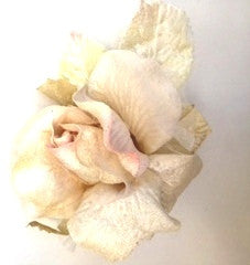 VELVET ORGANZA ROSE CREAM