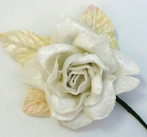 VELVET ROSE WHITE