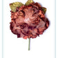 CABBAGE ROSE CHOCOLATE