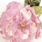 Cabbage Rose Pink