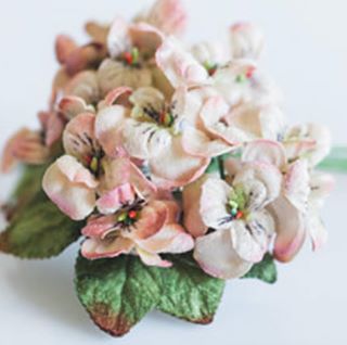 viola posy. Vintage Peach